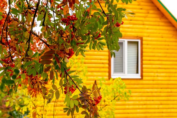 Cost of Garden Window Replacement in Chattanooga
